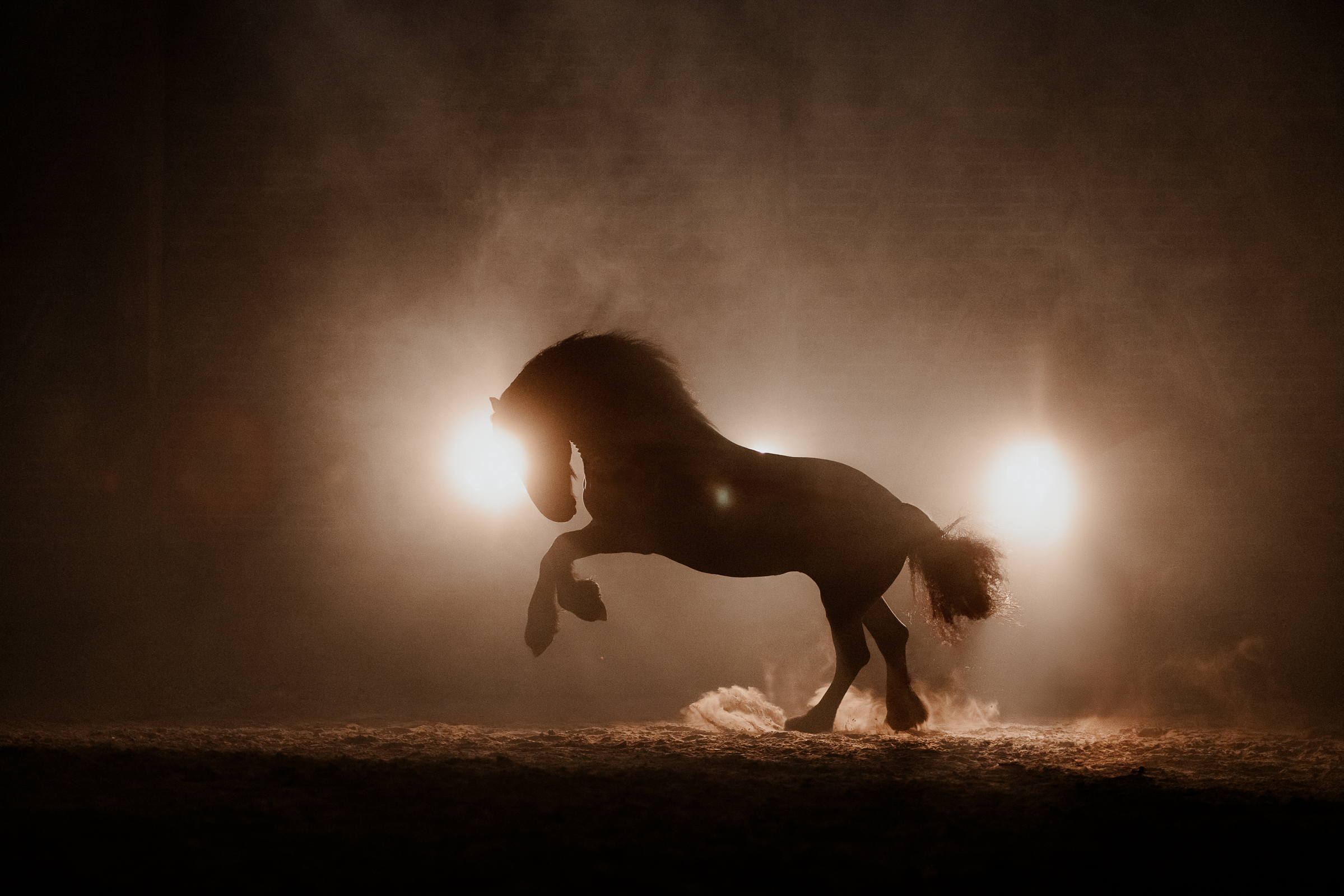 Pferdefotografie_Fabienne Gassmann_FrauStern_Shooting Friese Nebel-1